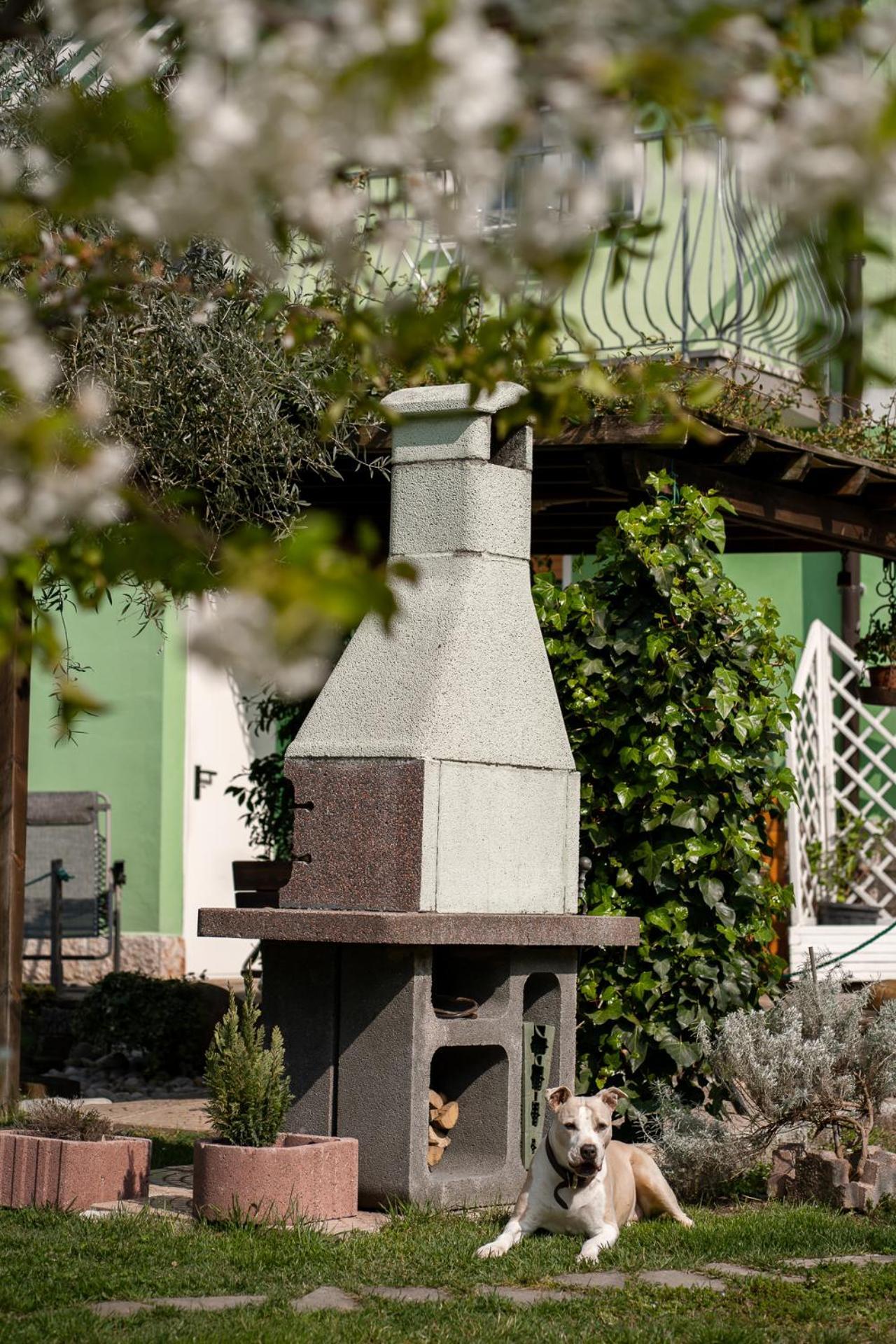 La Casa Nel Verde Arco Extérieur photo